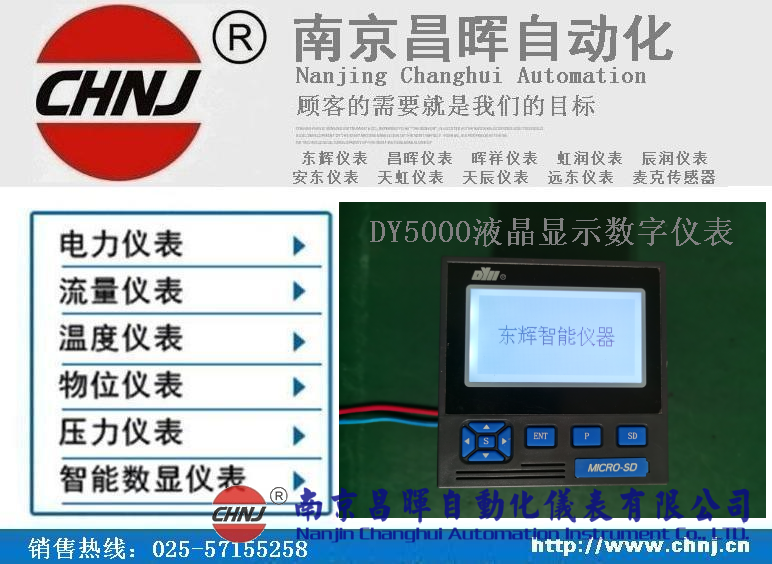 DY21ZL、DY22ZL00、DY59ZL60、DY5000（ZL）液晶顯示數字儀表